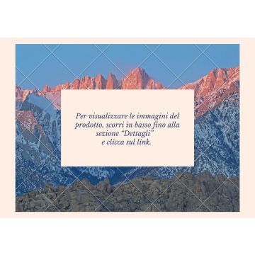 LIEBHERR CNsdc 5203 Frigorifero con congelatore / Kühlschrank mit Gefrierfach 